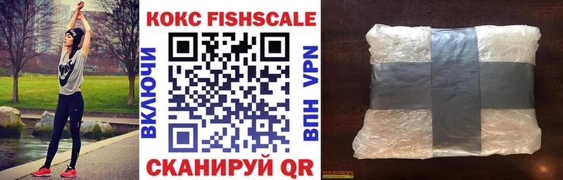 продажа наркотиков  Петровск-Забайкальский  Cocaine FishScale 