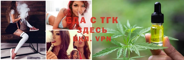 ПСИЛОЦИБИНОВЫЕ ГРИБЫ Горняк