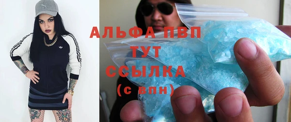 бошки Тайга