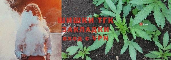 шишки Нефтегорск