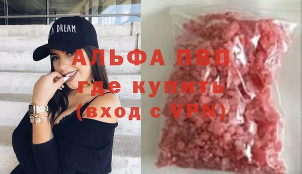 бошки Тайга
