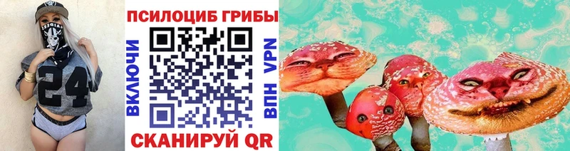 Псилоцибиновые грибы мухоморы  купить  сайты  Петровск-Забайкальский 